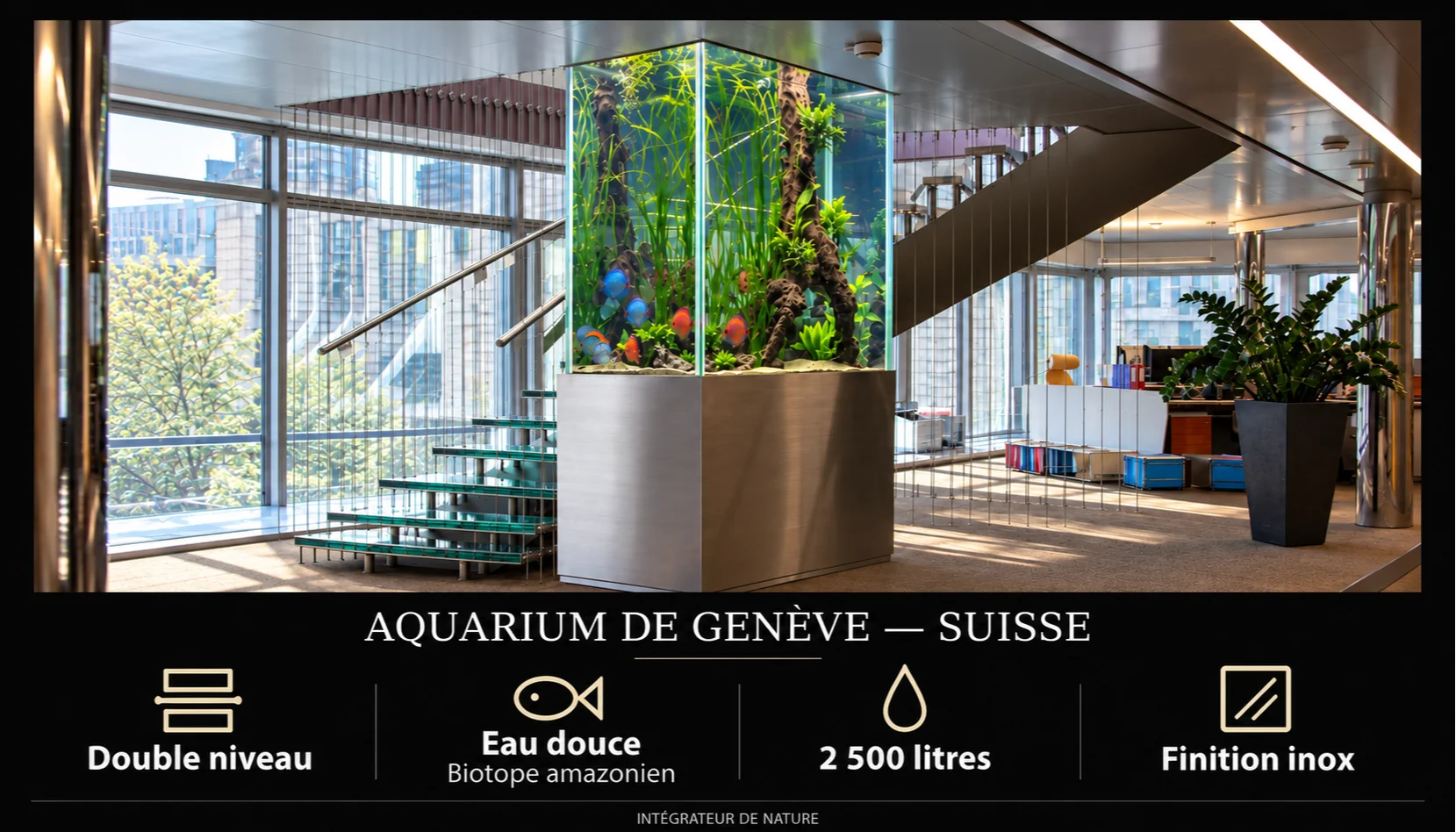 Architecture du vivant 