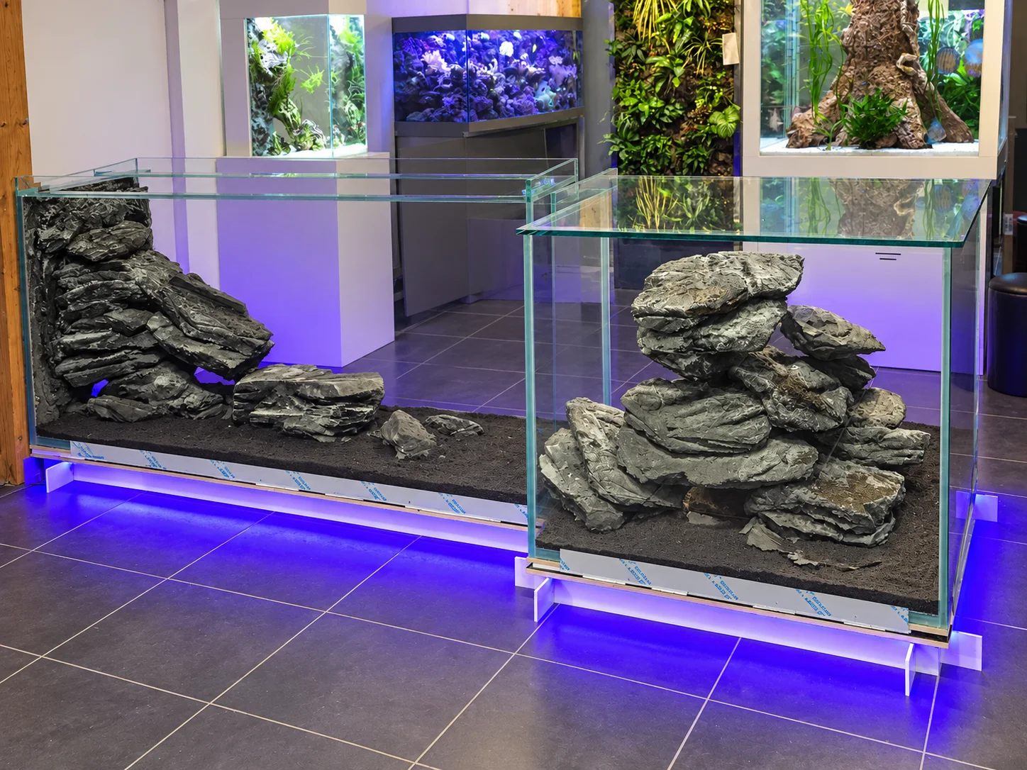 Aquarium bar coryphene