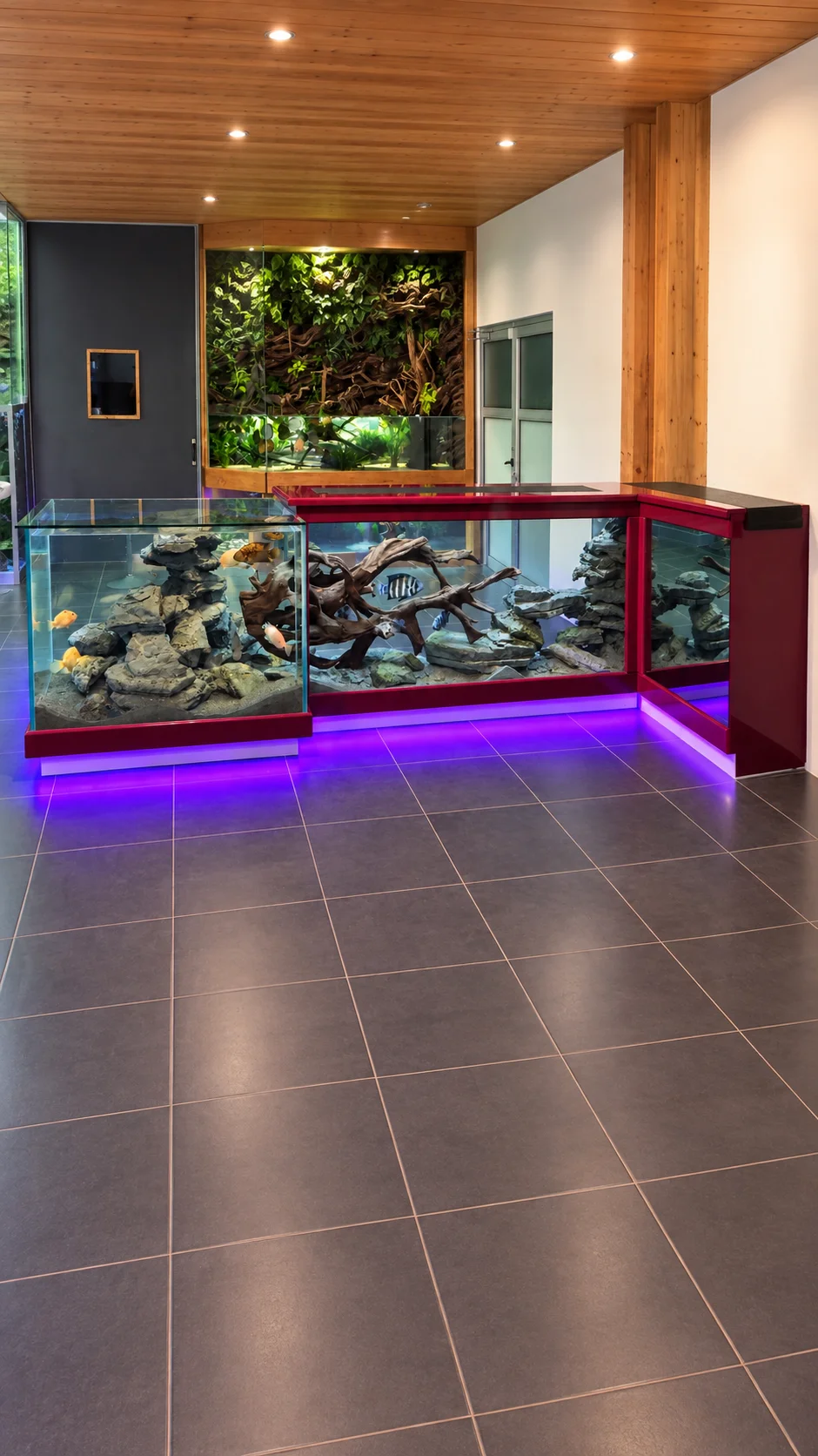 Aquarium bar coryphene