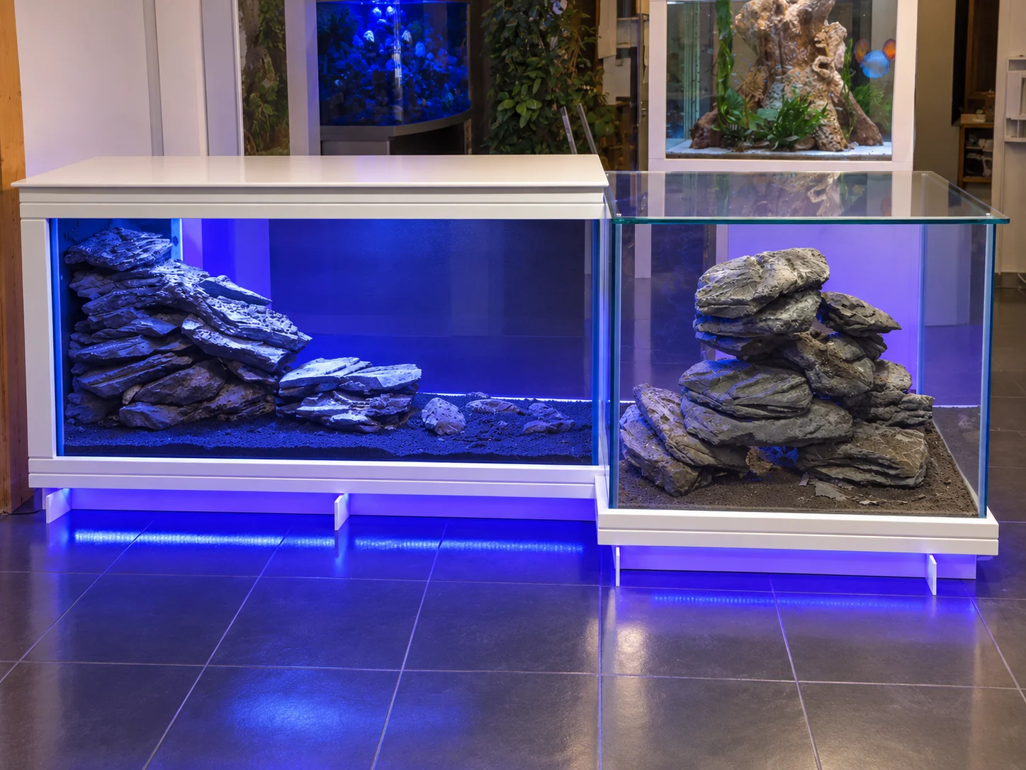 Aquarium bar coryphene