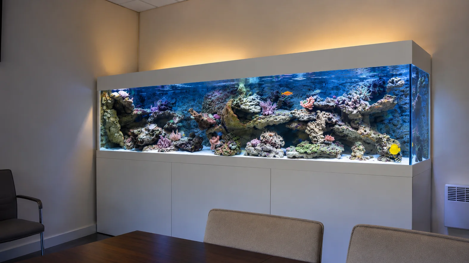 Aquarium récifal communautaire