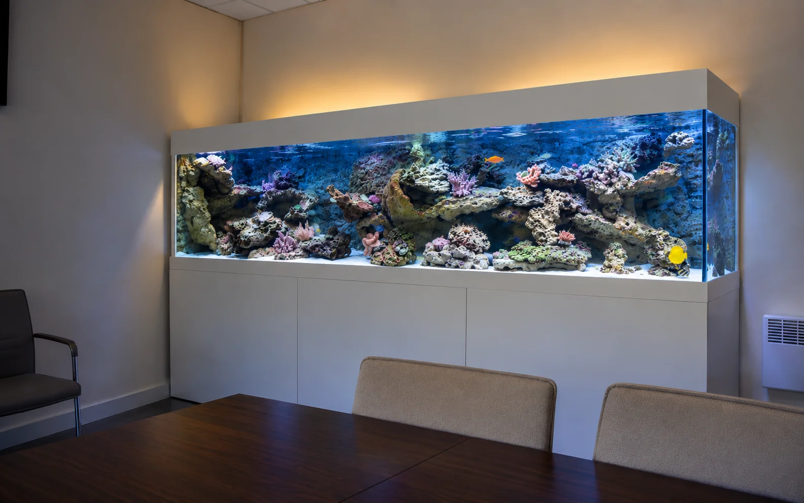 Aquarium récifal communautaire