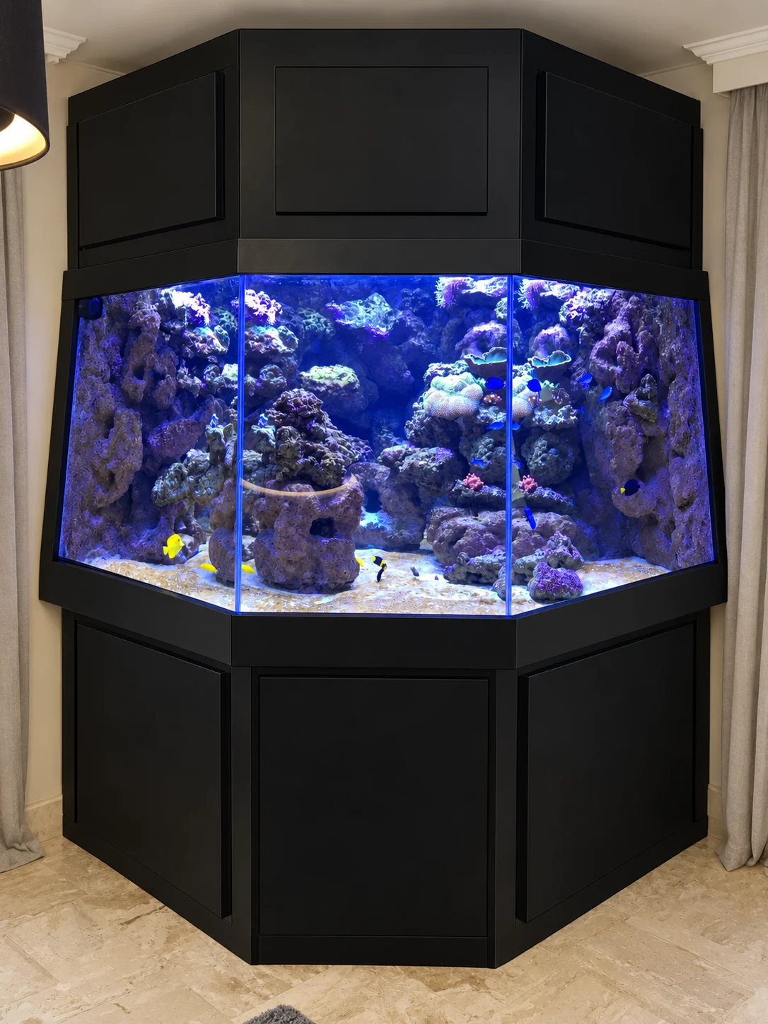 Aquarium récifal d’angle
