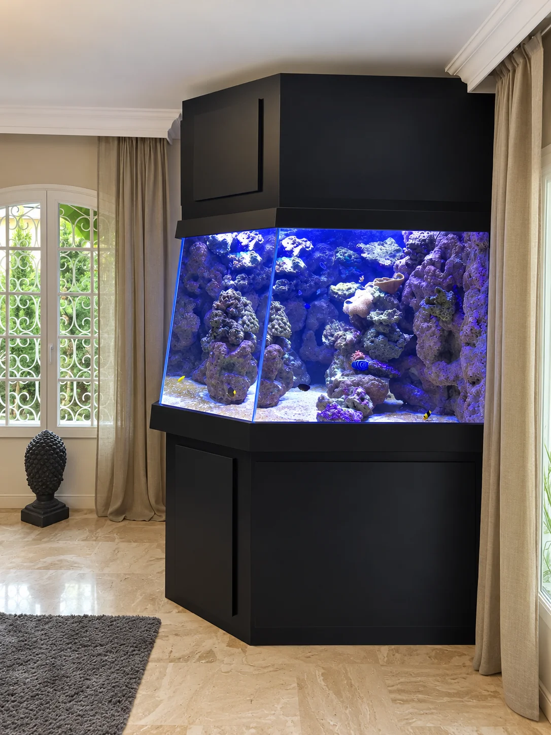 Aquarium récifal d’angle