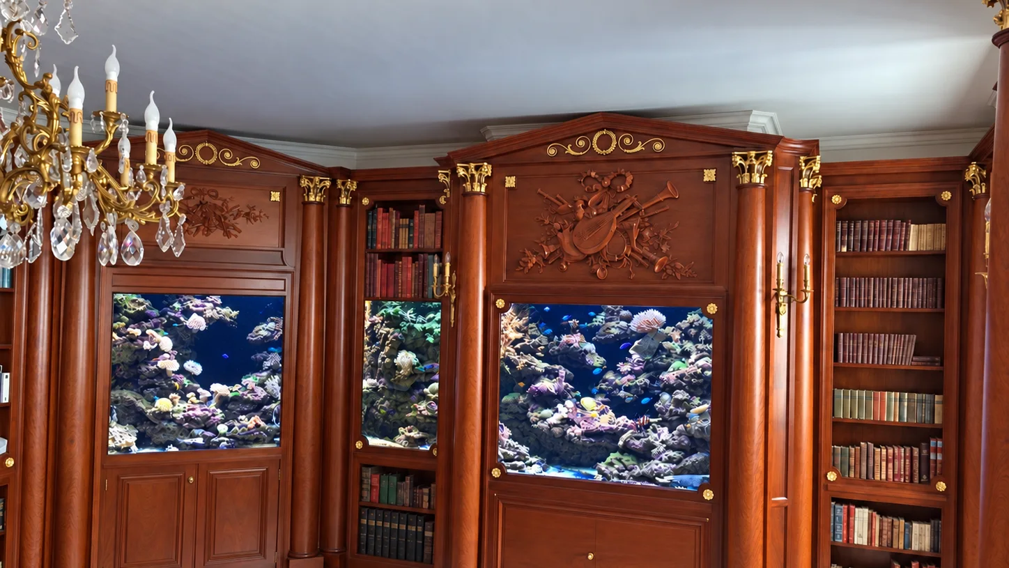 Aquarium récifal en bibliothèque