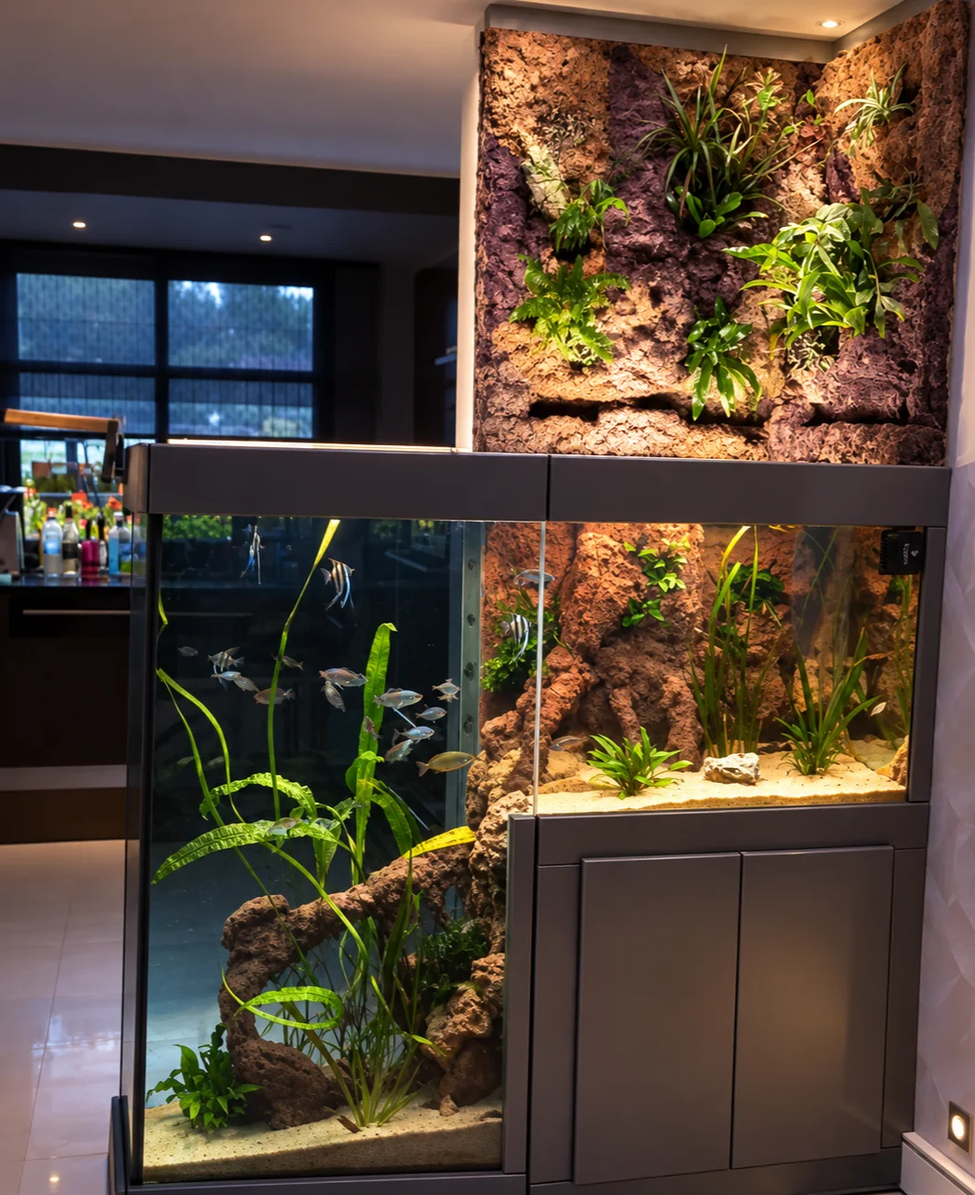 Aquarium Poséidon – Biotope fluviatile africain
