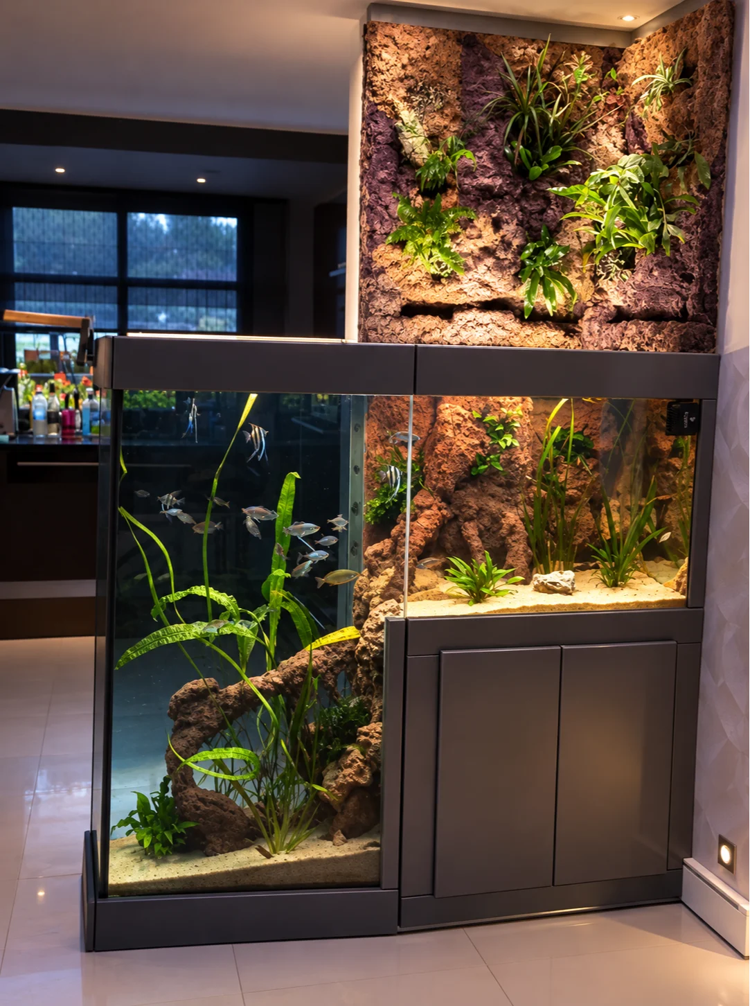 Aquarium Poséidon – Biotope fluviatile africain