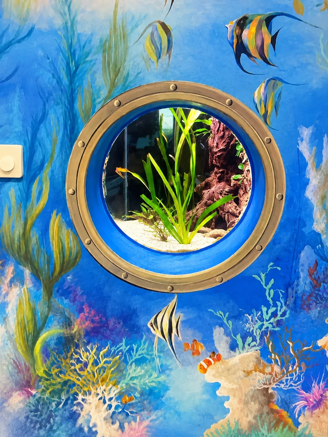 Aquarium Poséidon – Biotope fluviatile africain