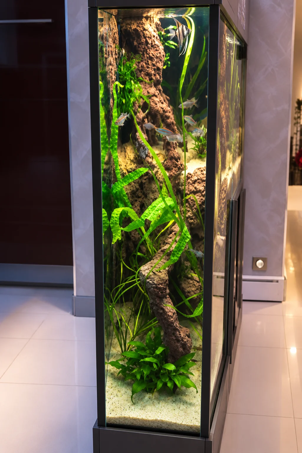Aquarium Poséidon – Biotope fluviatile africain