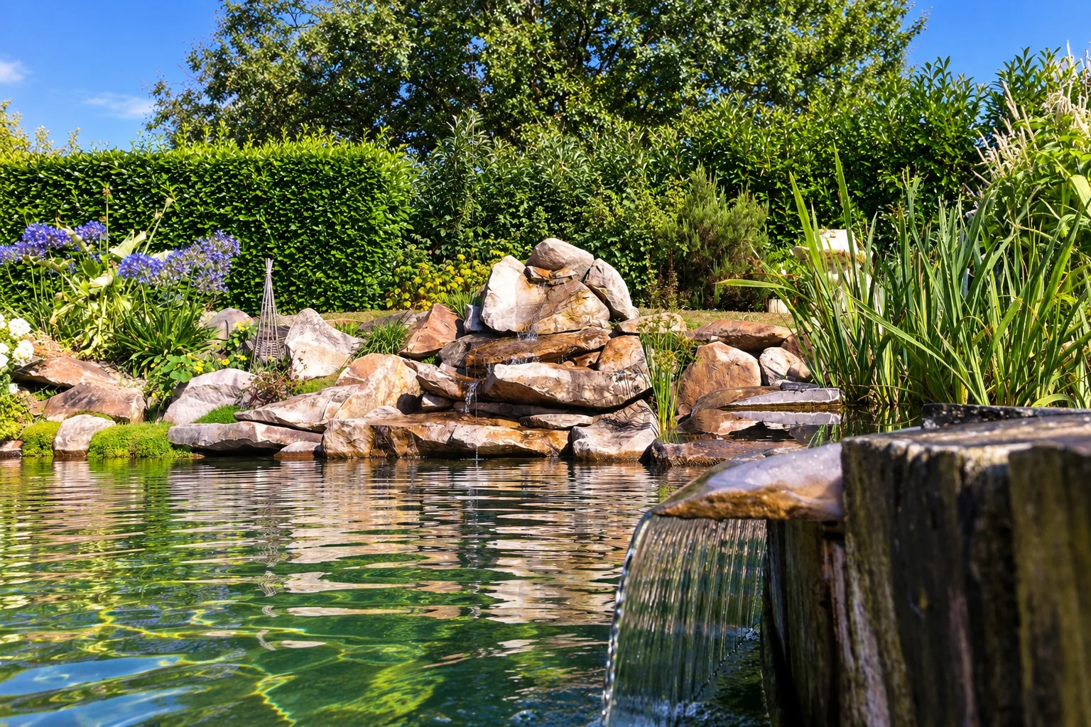 Piscine naturelle avec cascade et lagunage végétalisé