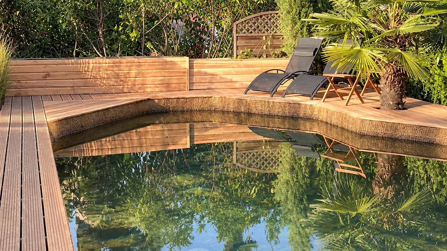 Piscine naturelle et terrasse en bois exotique 