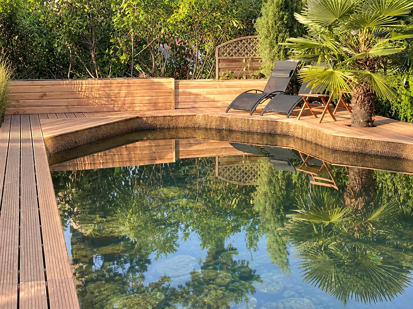 Piscine naturelle et terrasse en bois exotique 
