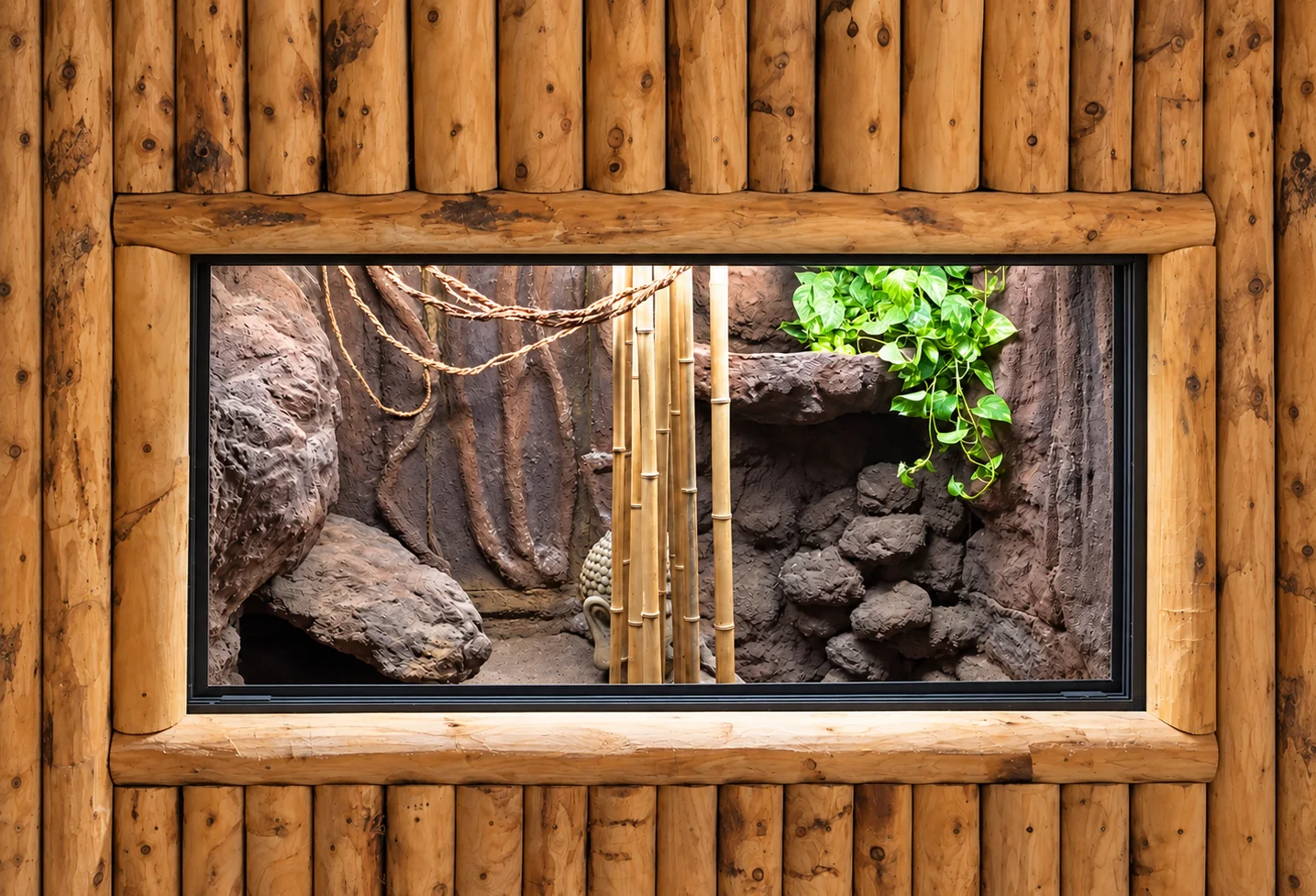 Terrariums sur mesure au Zoo de La Flèche