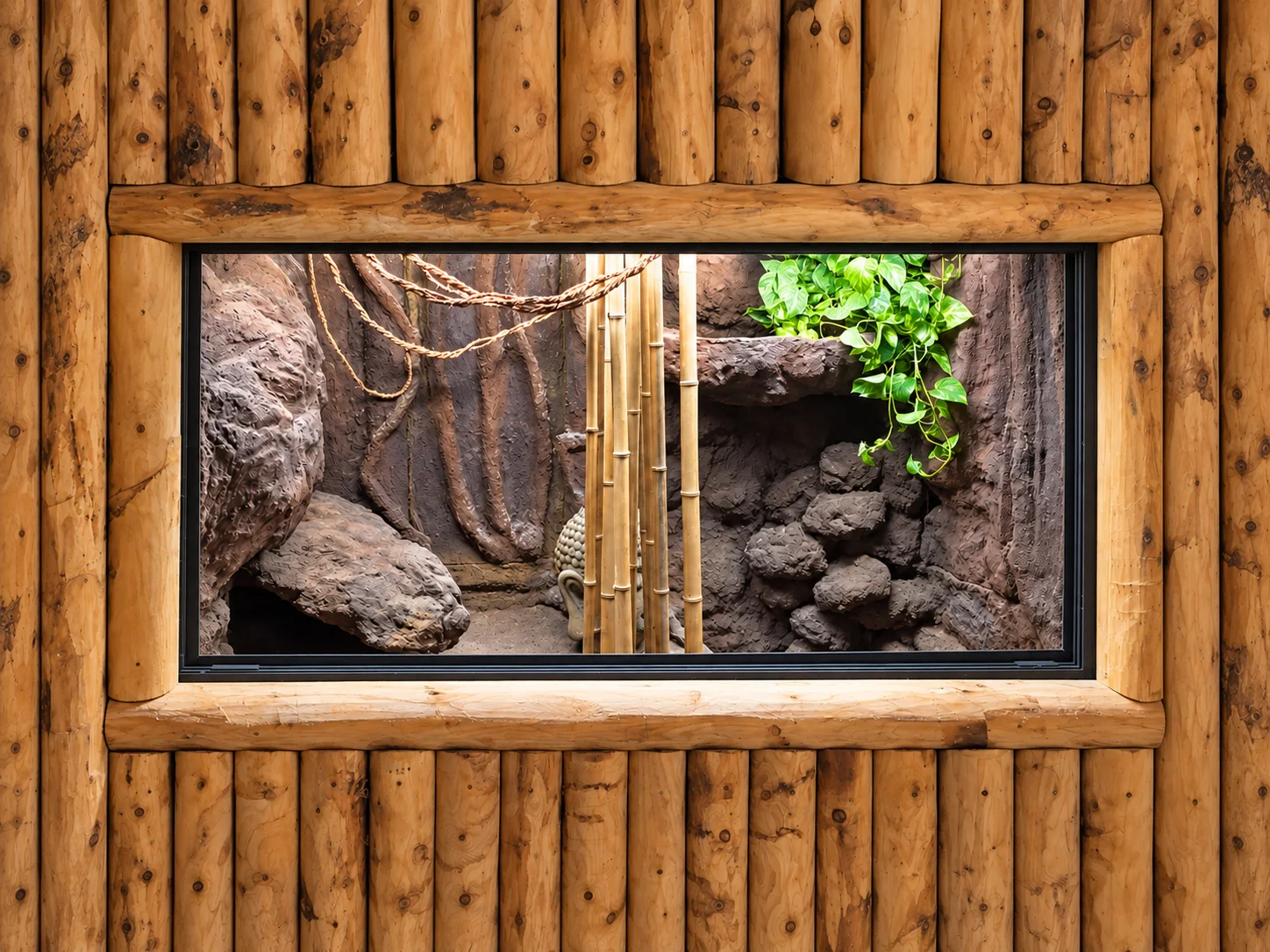 Terrariums sur mesure au Zoo de La Flèche