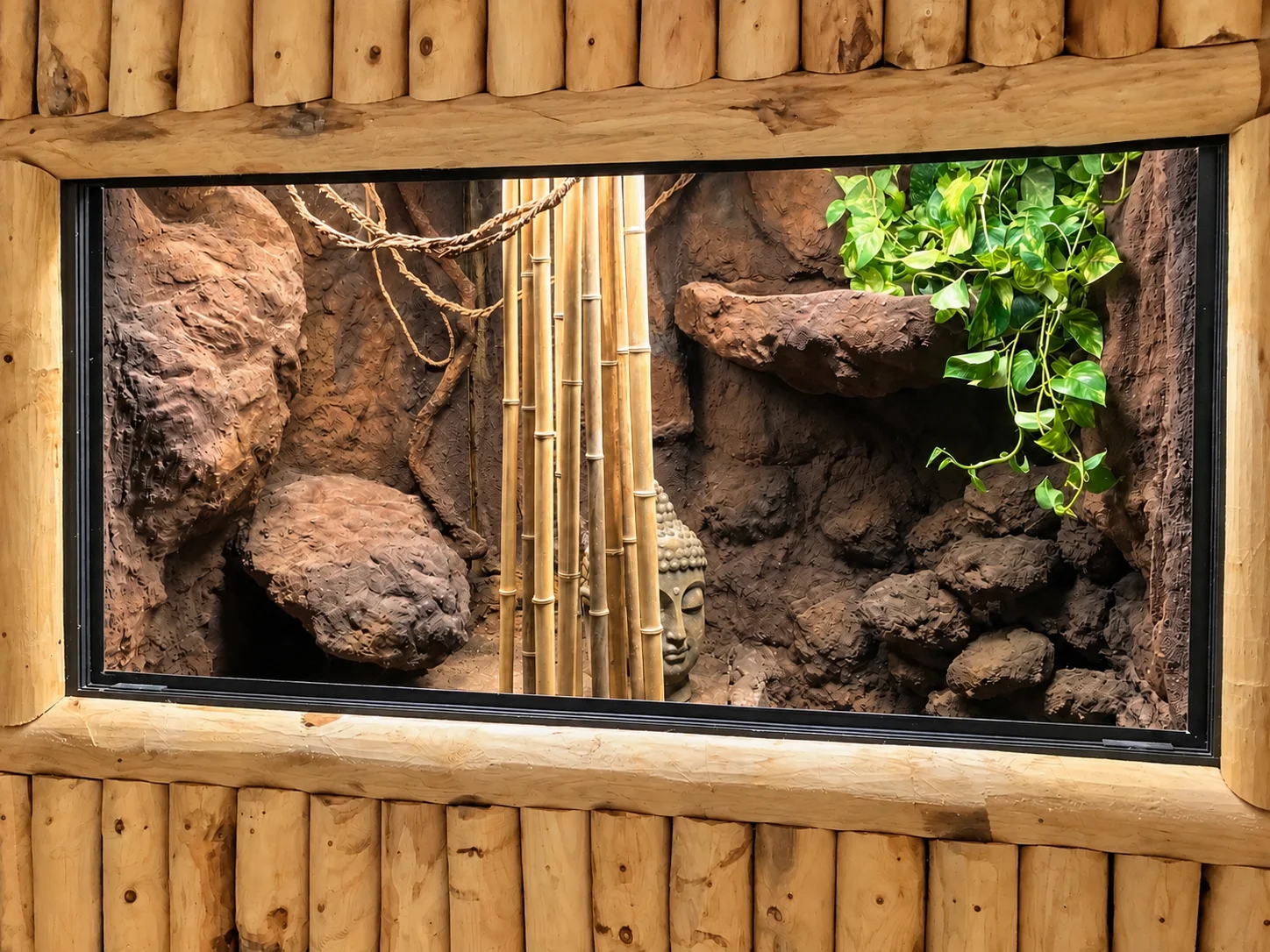 Terrariums sur mesure au Zoo de La Flèche