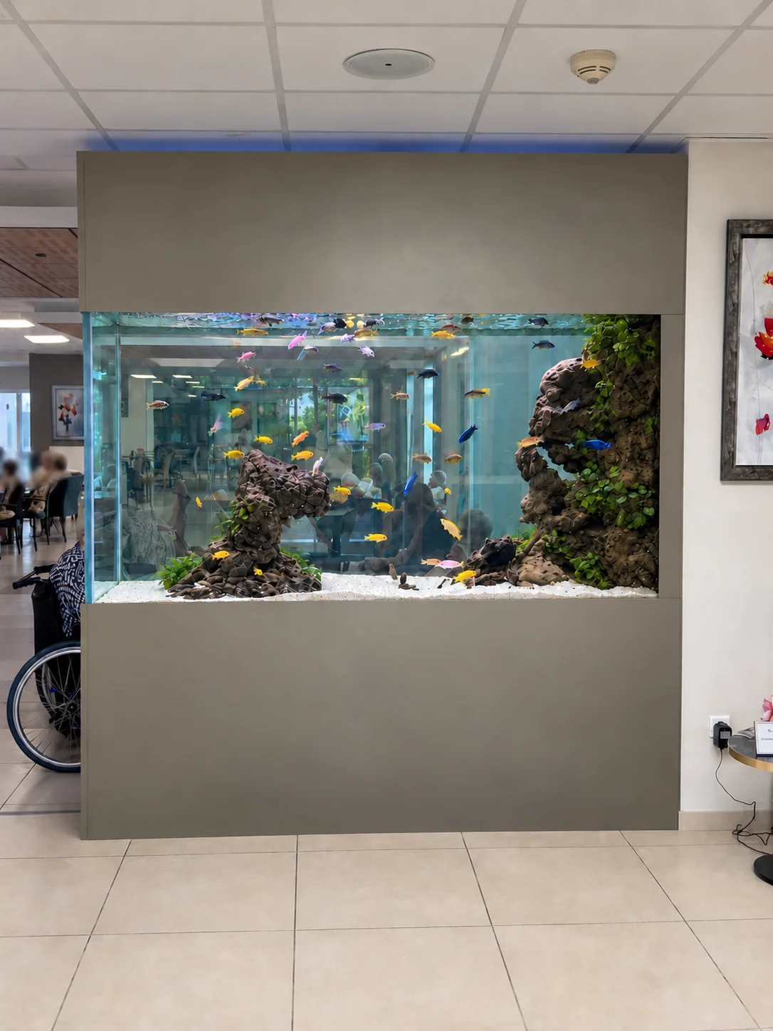 Aquarium de 1600litres en EHPAD à Nogent-sur-Oise