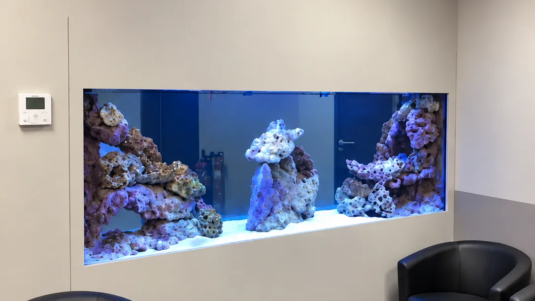 Aquarium fish only double face