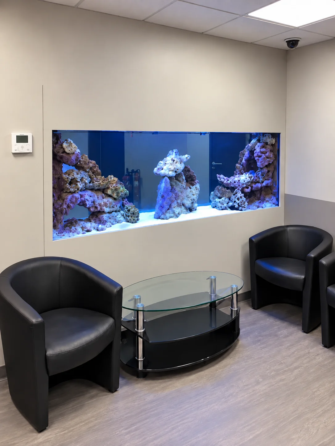 Aquarium fish only double face