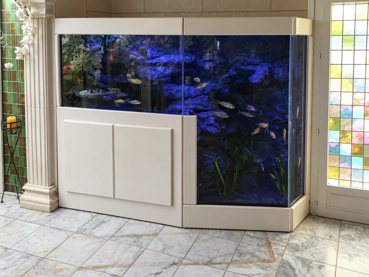 Aquarium fosse falaise
