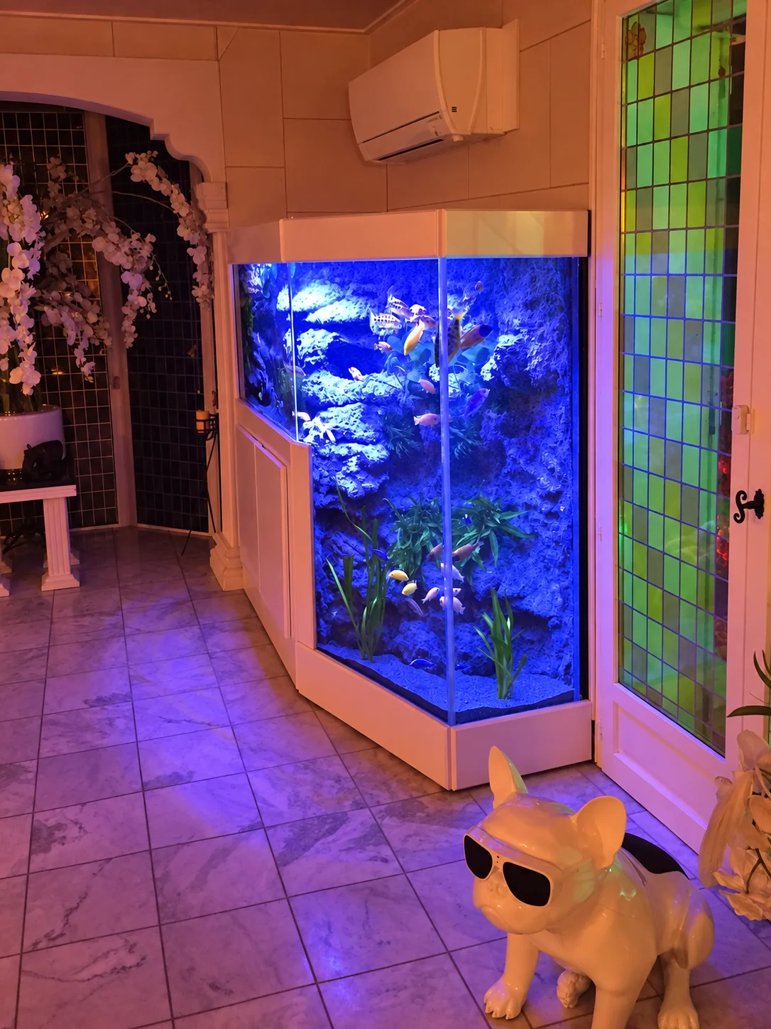 Aquarium fosse falaise