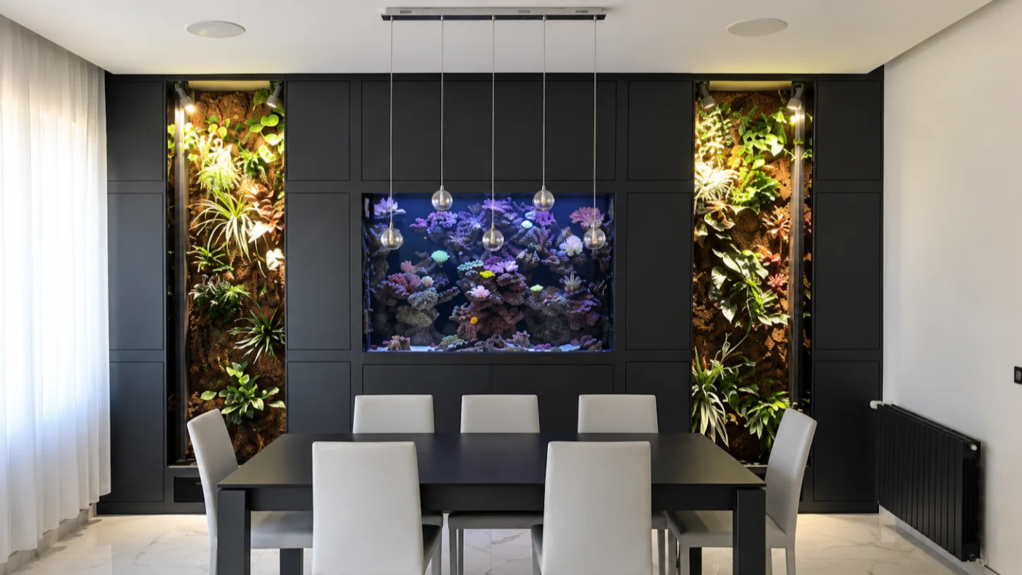 Aquarium récifal avec murs végétaux intégrés