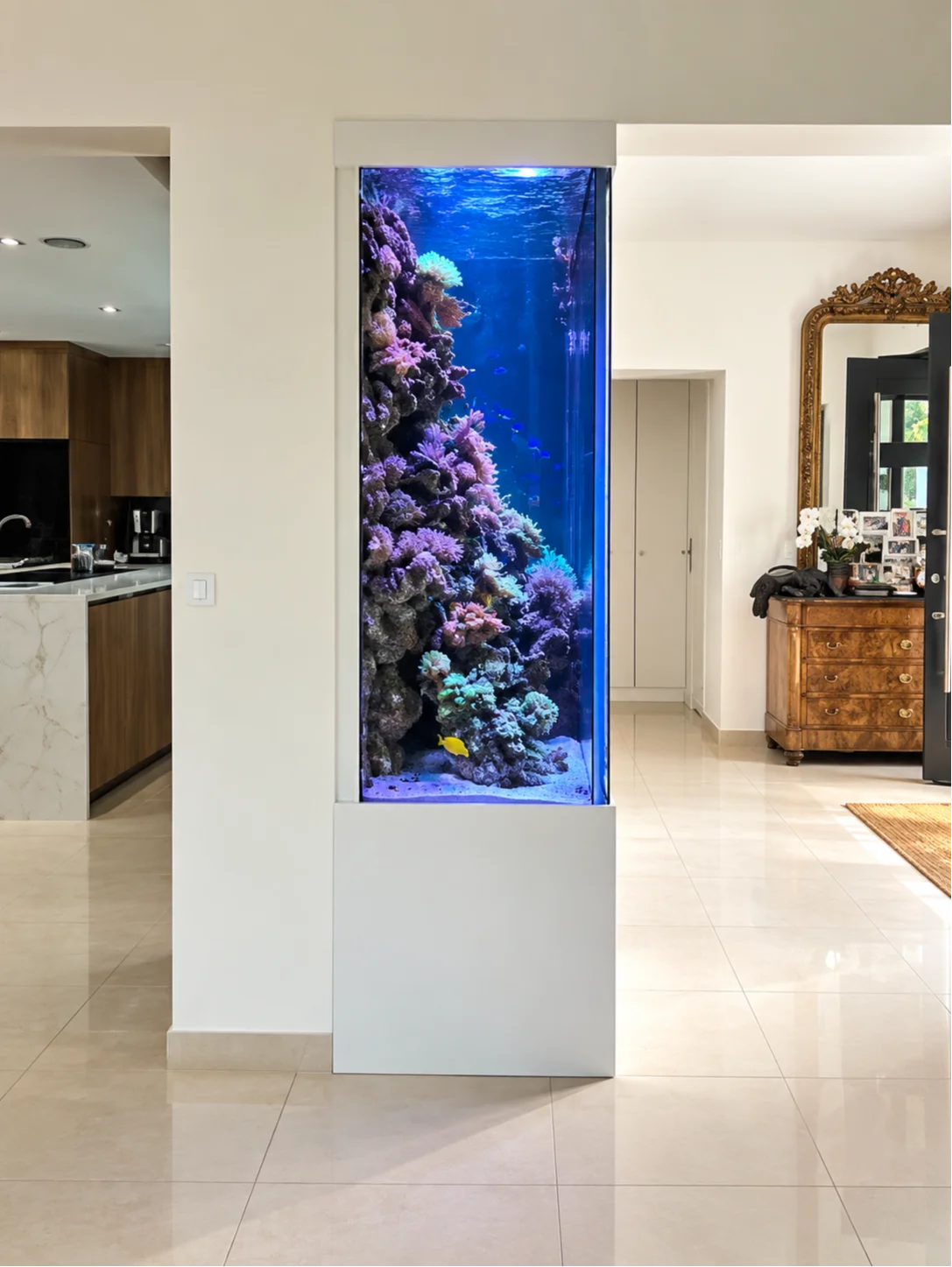 Aquarium récifal avec fosse de 3600 litres parfaitement intégré