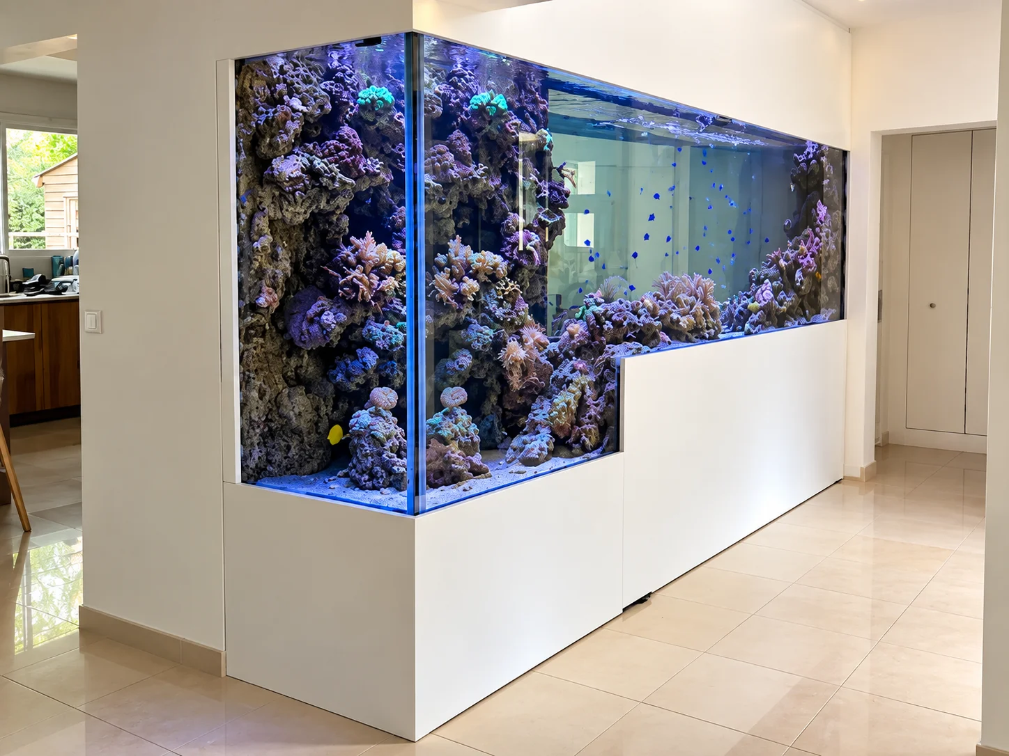 Aquarium récifal fosse falaise double face 