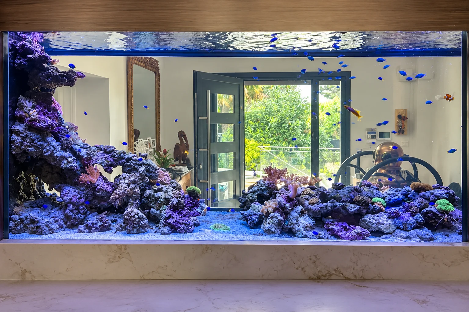 Aquarium récifal fosse falaise double face