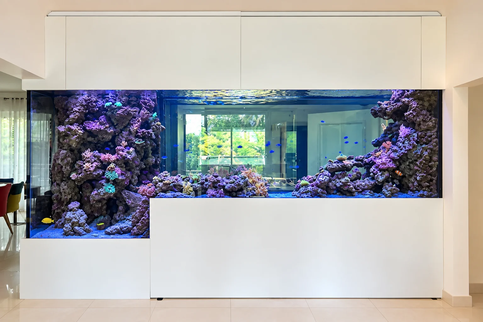 Aquarium récifal fosse falaise double face