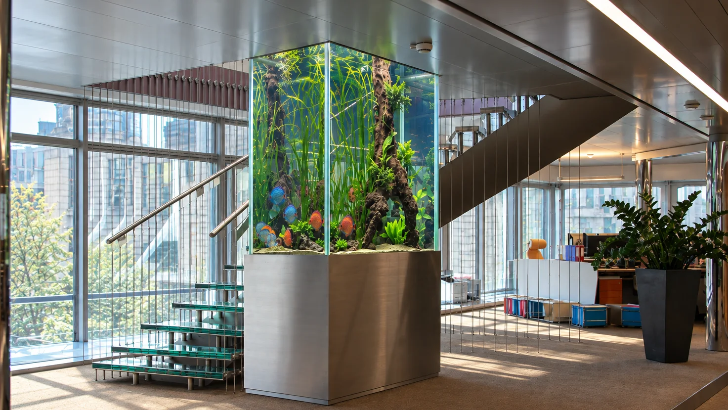 Aquarium récifal et amazonien sur deux niveaux 