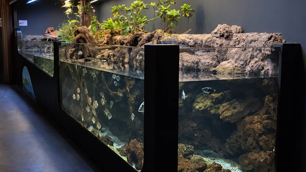 Lagune à l'Aquarium de Paris