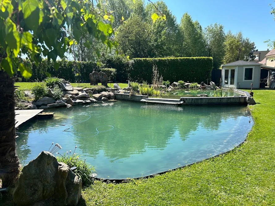 Bassins de jardin sur mesure